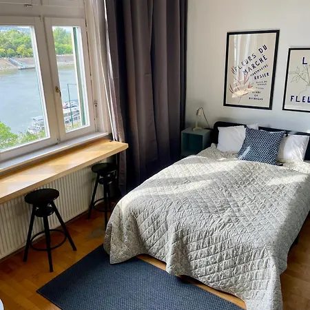 Unique View On Danube, Margaret Island, Buda Hills