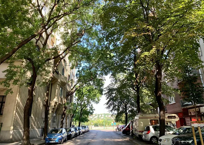 Unique View On Danube, Margaret Island, Buda Hills